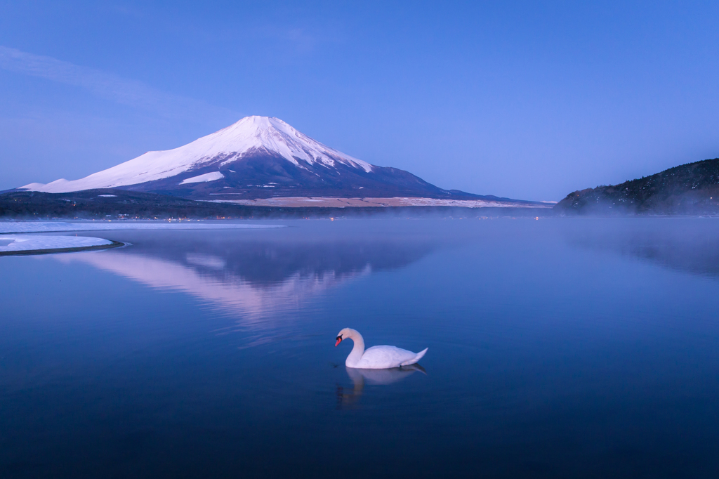 白い冬景色