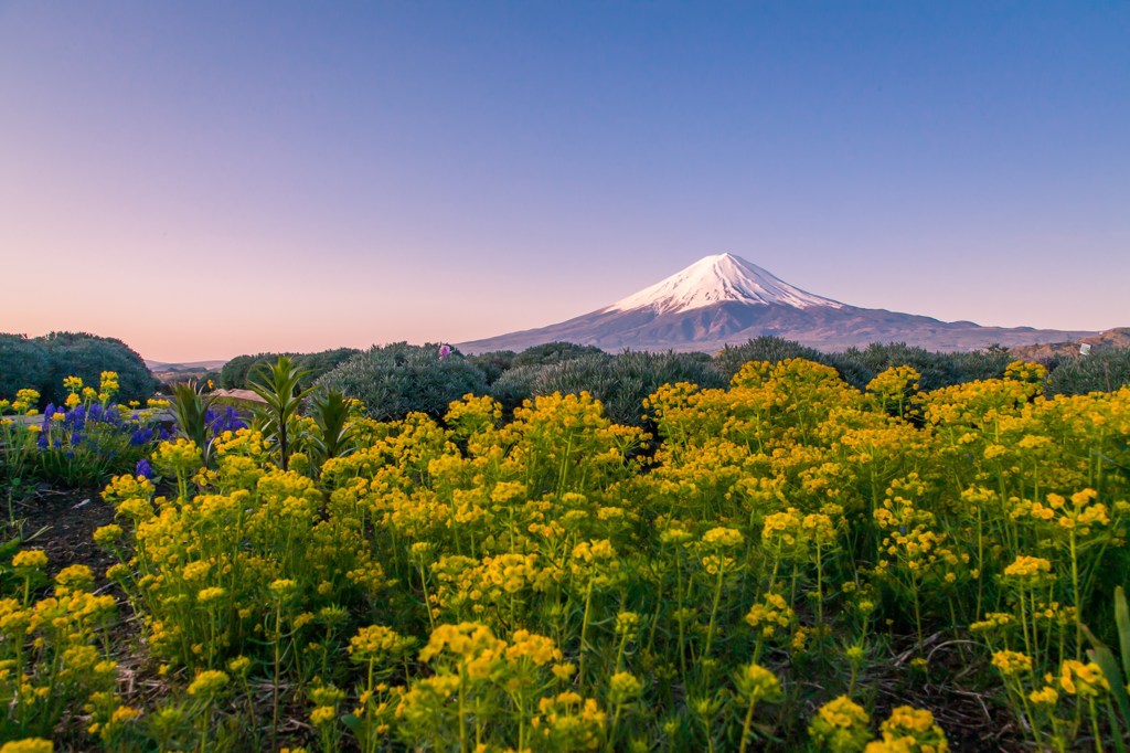 春景色の中で