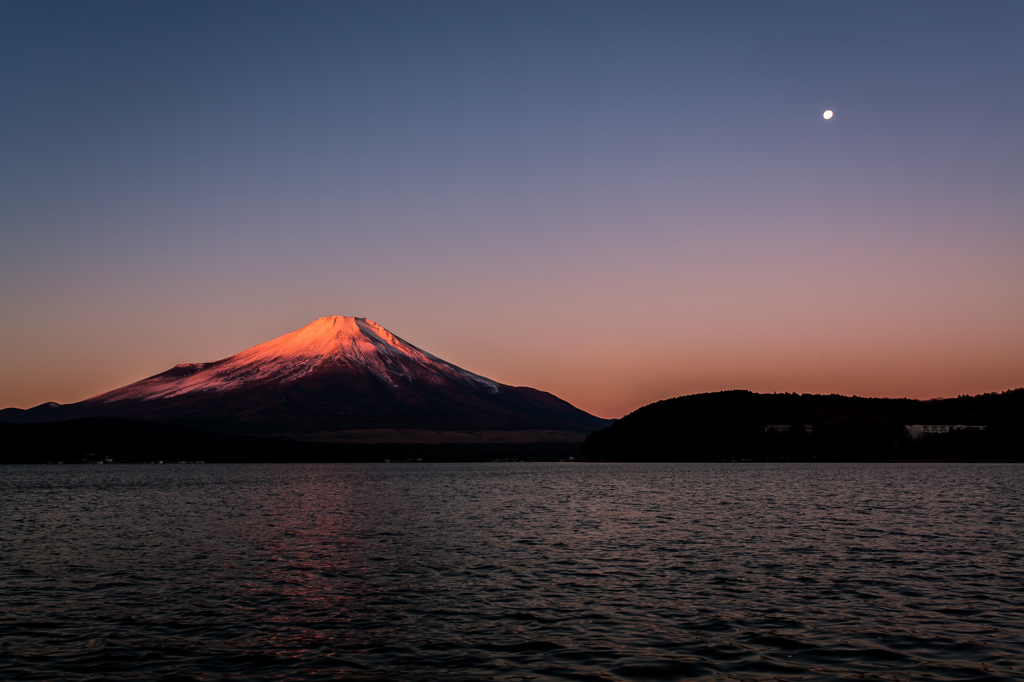 紅富士と月