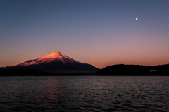 紅富士と月