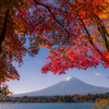 秋彩の富士へ