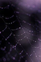 star jewelry