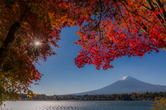秋彩の富士へ2