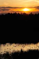 沼の夕陽