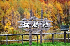 晩秋