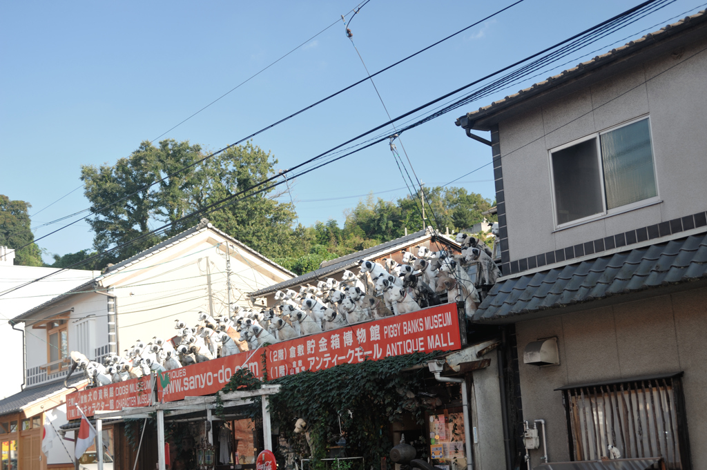 珍百景～