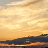 沼の夕陽