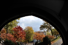 紅葉