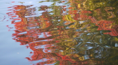 水紅葉