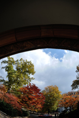 紅葉