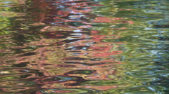 水紅葉