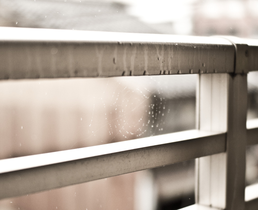 主のいない風景