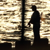 夕日の中の釣り師