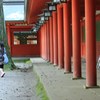 柱がいっぱい