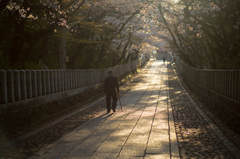 杖と共に