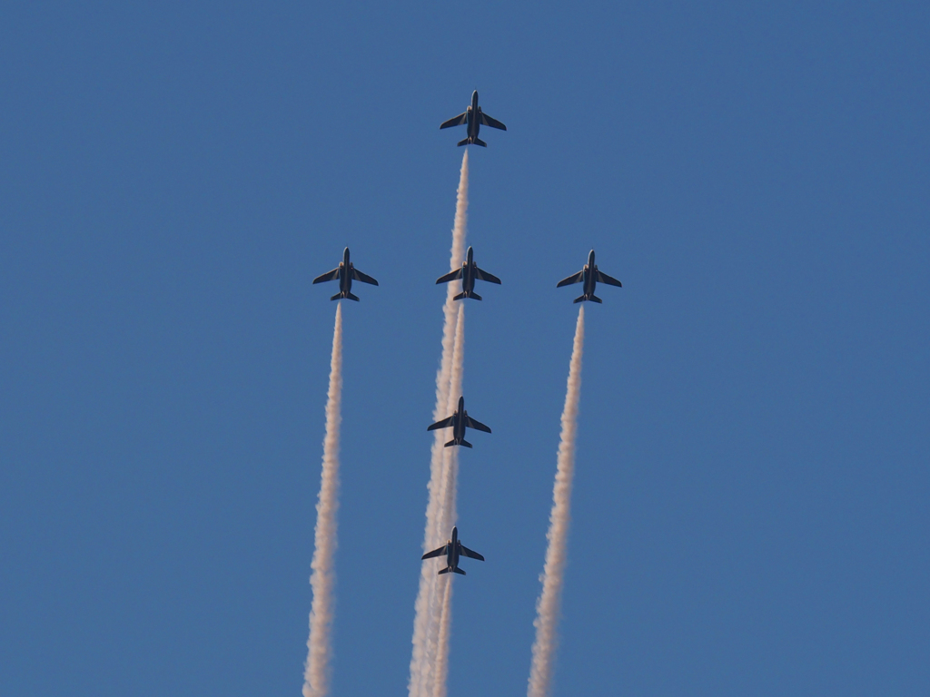 Blue impulse #8