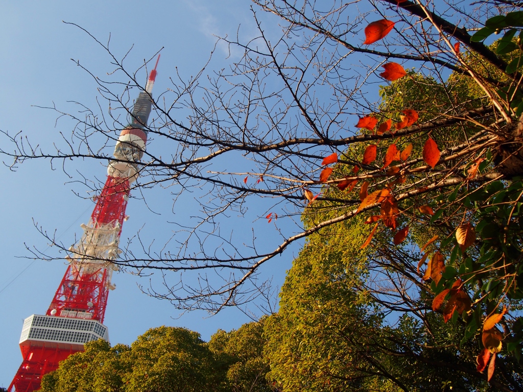 タワーをバックに