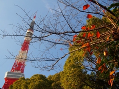 タワーをバックに