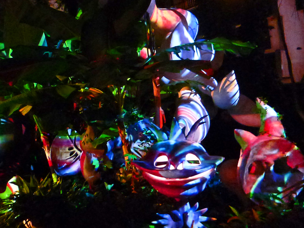 One Night Illusion 