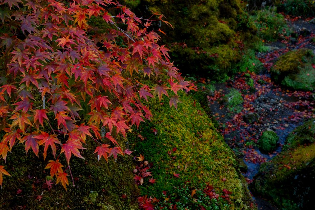箱根美術館