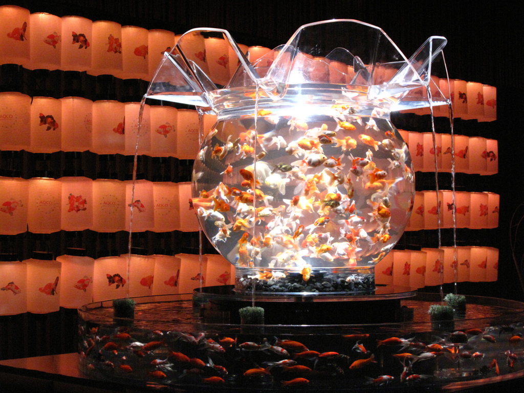 GOLDFISH