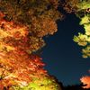 色とりどり