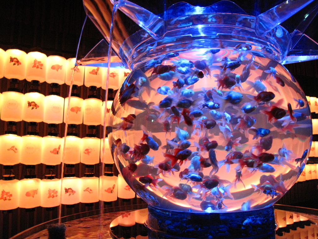 GOLDFISH