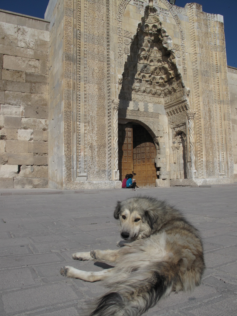 キャラバンサライ