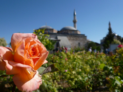 メヴラーナ博物館