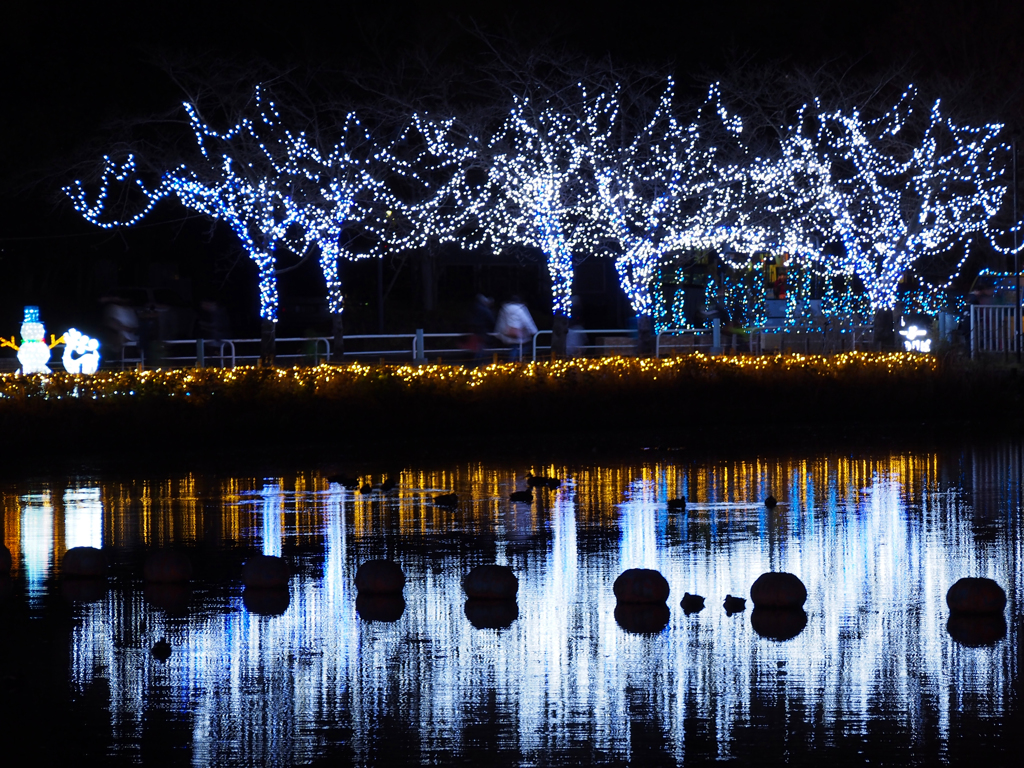 illumination