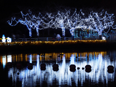 illumination