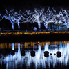 illumination