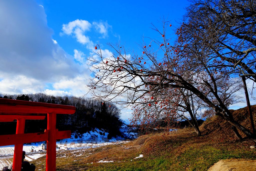 冬の空