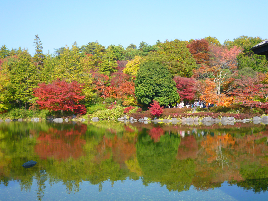 紅葉