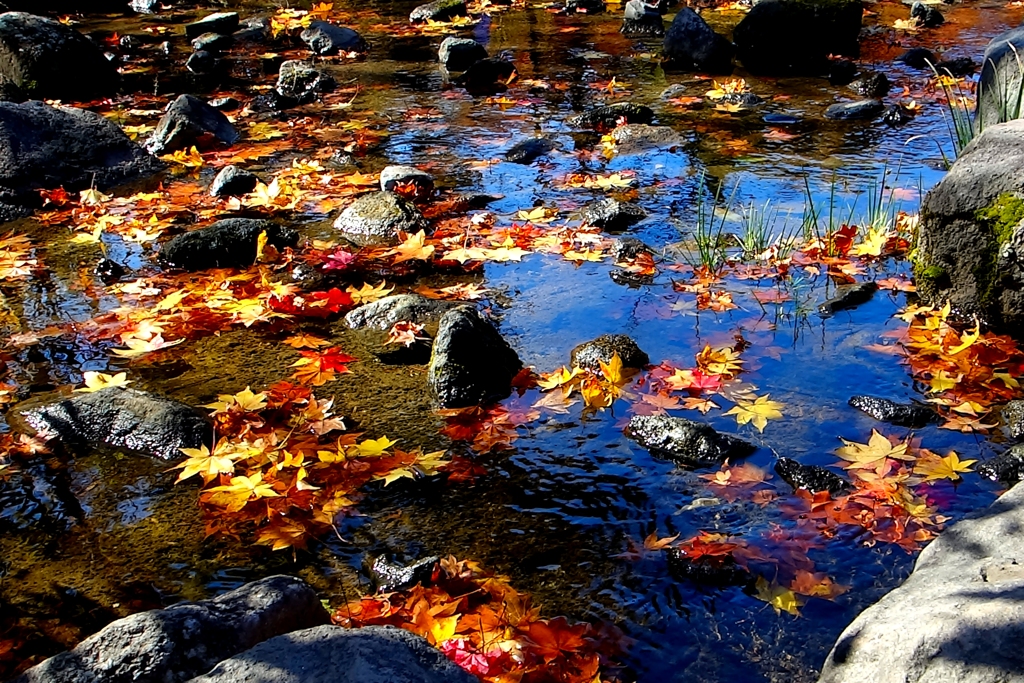 日本庭園