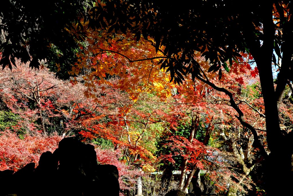 恵林寺