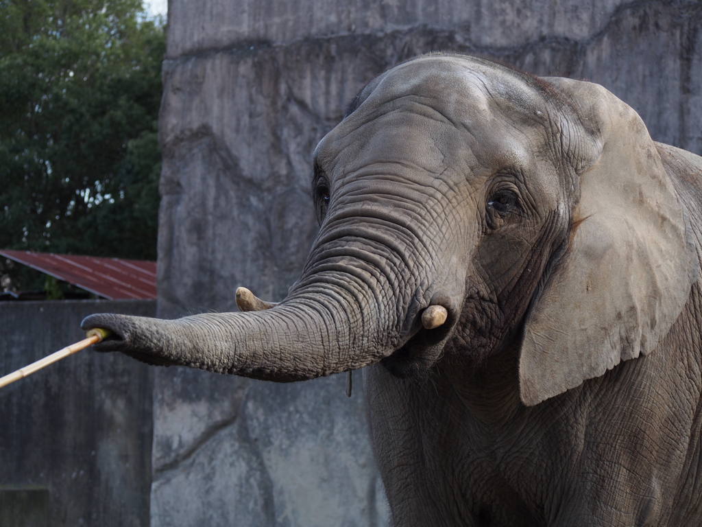 えさやりタイム