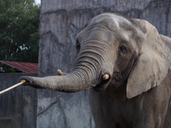 えさやりタイム