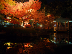 紅葉ライトアップ