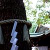 DSC01211