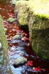 箱根美術館