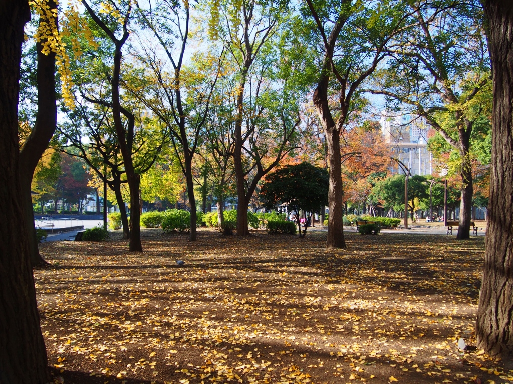 公園