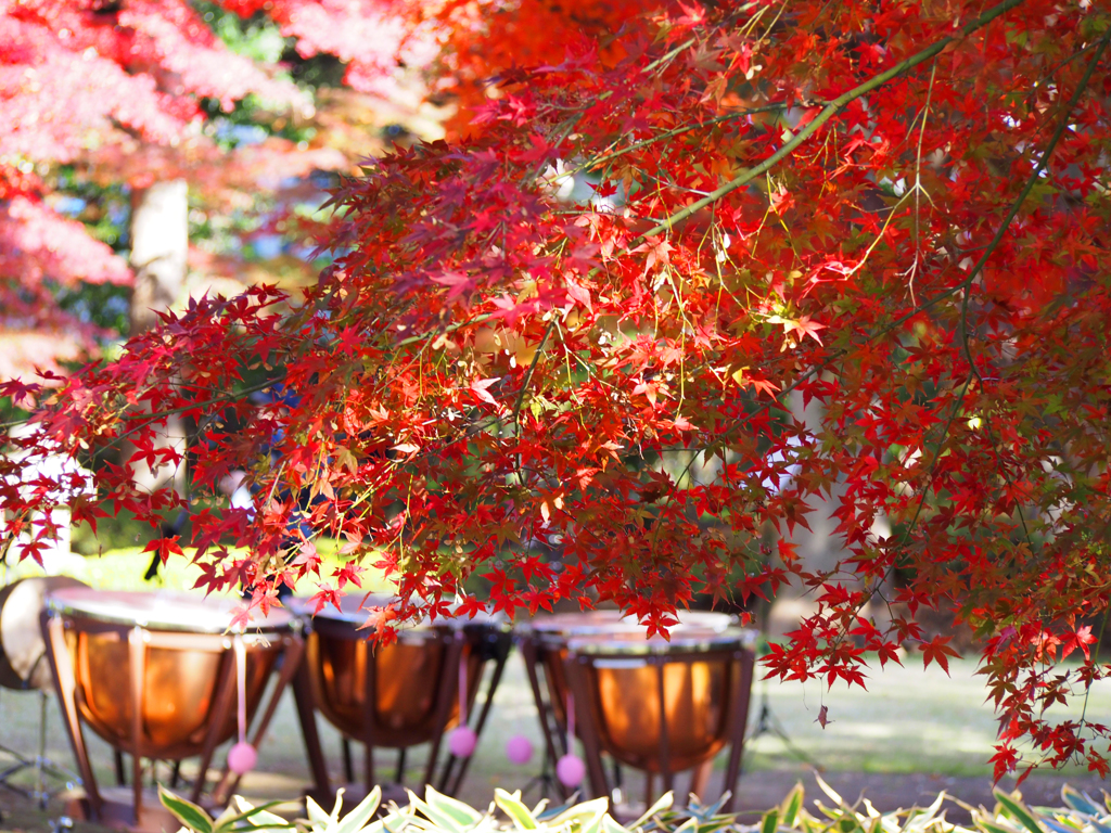 もうすぐ演奏会