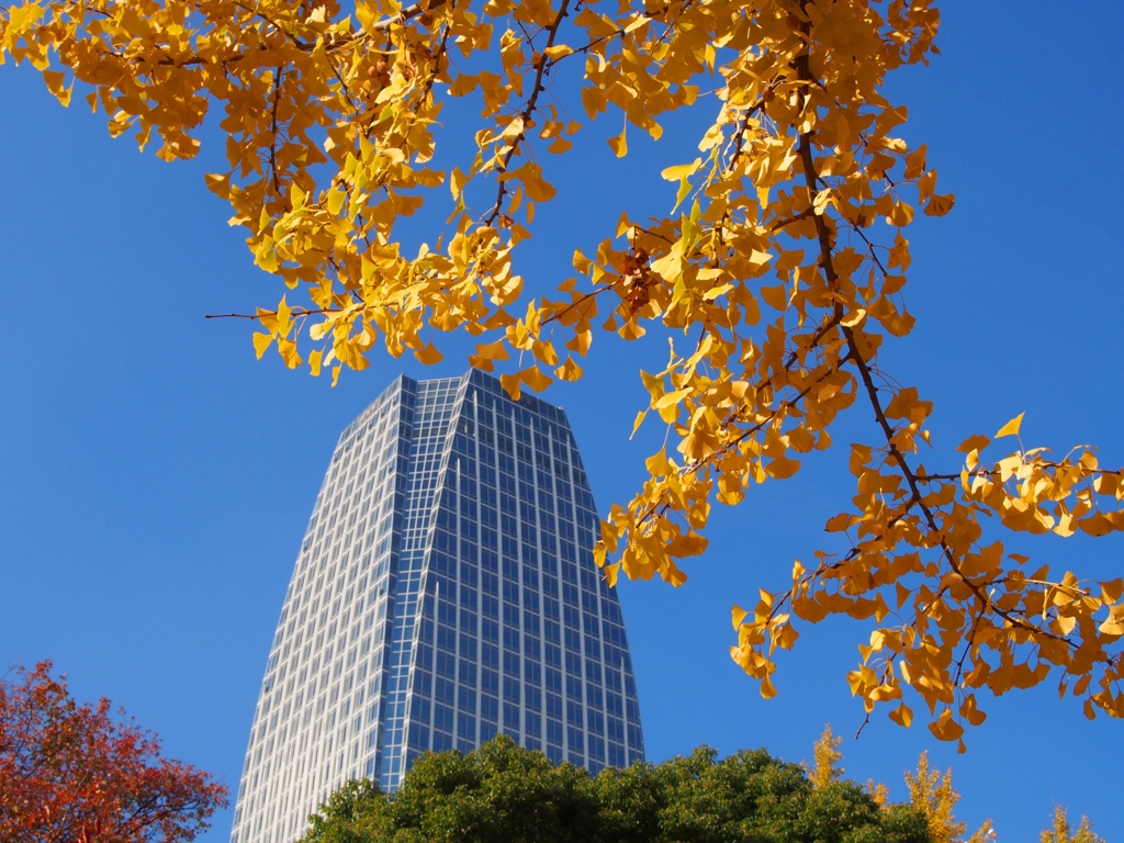 都会の紅葉