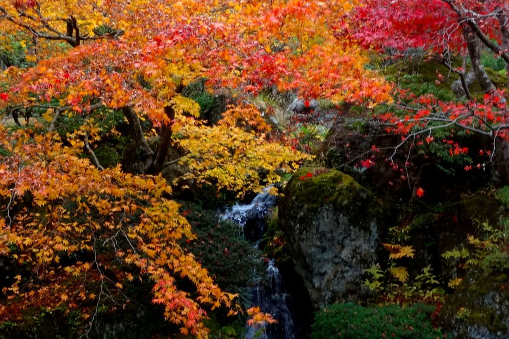 箱根美術館