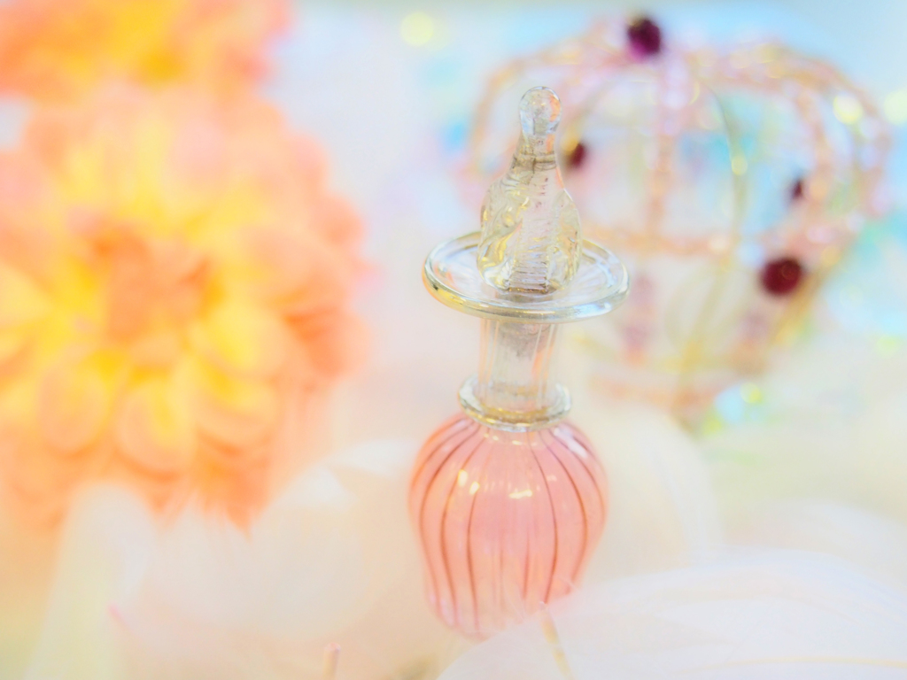 テーブルフォト