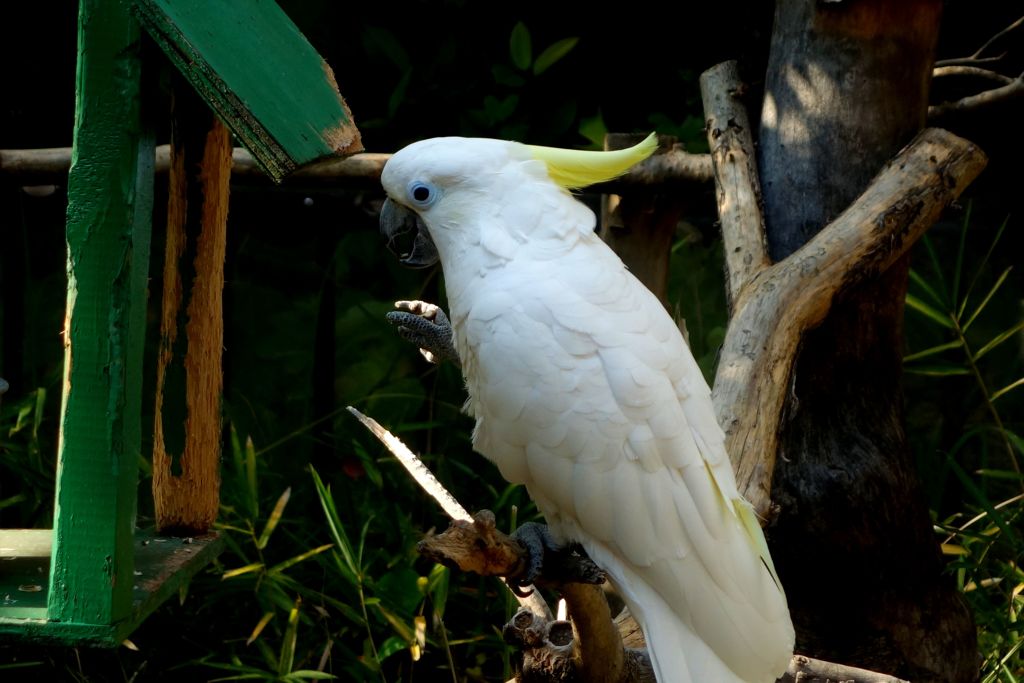 DSC01392