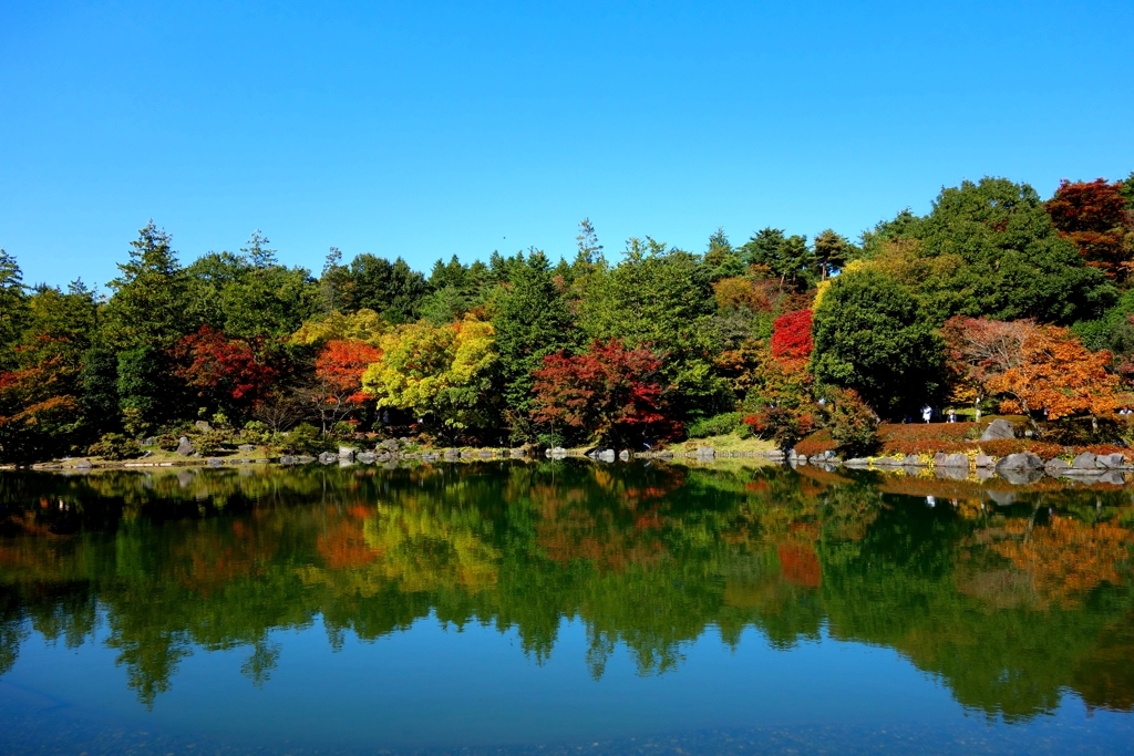 日本庭園