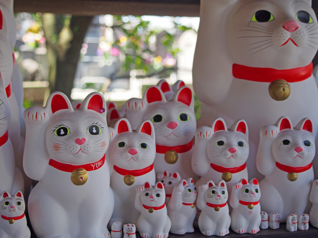 キラキラおめめ