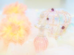 テーブルフォト